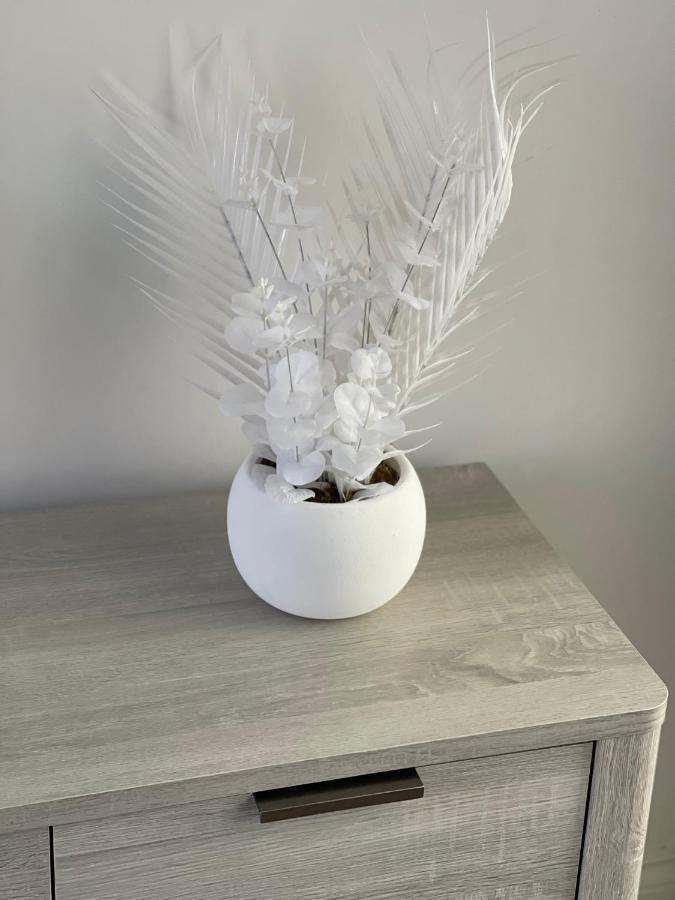 Edith Haven Tynemouth Fabulous Coastal Holiday Home With Free Onstreet Parking ภายนอก รูปภาพ